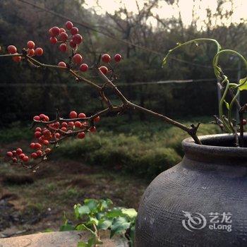 楠溪江大隐民宿岛酒店提供图片