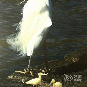 金门候鸟民宿酒店提供图片