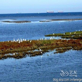 北戴河忆海时光主题客栈(原金阁民宿)酒店提供图片
