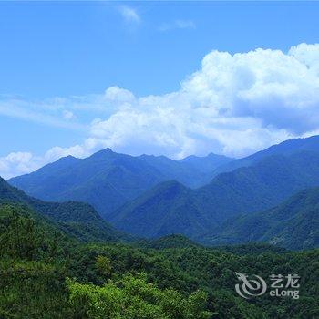 神农架阿尔卡迪亚森林酒店酒店提供图片