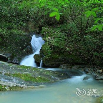 神农架阿尔卡迪亚森林酒店酒店提供图片