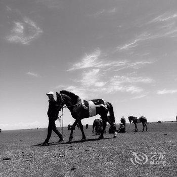 青海湖黑马河阳光客栈酒店提供图片