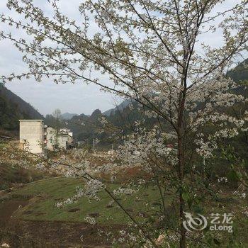 桑植良辰山庄酒店提供图片