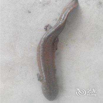 桑植良辰山庄酒店提供图片