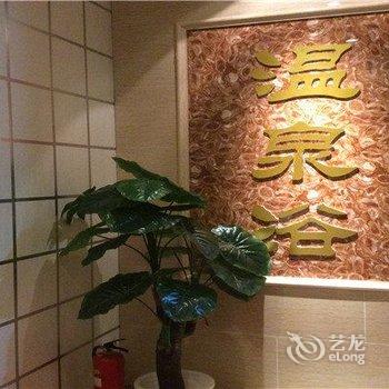 阳高九龙温泉度假村酒店提供图片