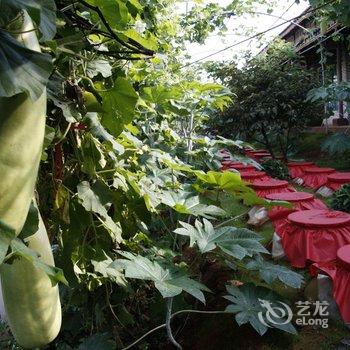 新平琴淮酒庄酒店提供图片