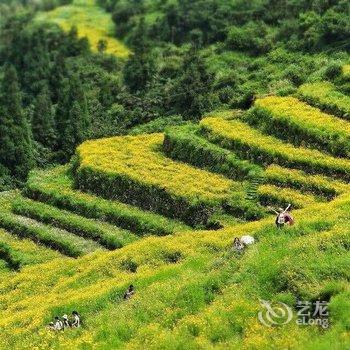 永泰云仙居农家乐酒店提供图片