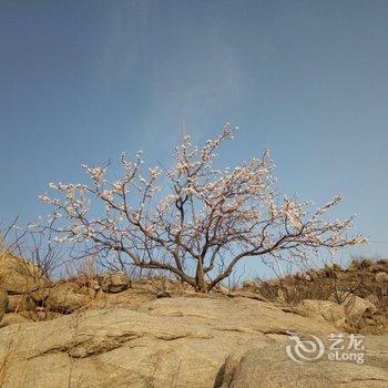 蒙阴绿苑山庄酒店提供图片