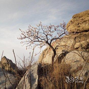 蒙阴绿苑山庄酒店提供图片