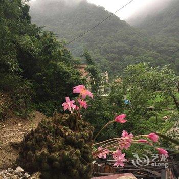 荔波依山碧水农家客栈酒店提供图片