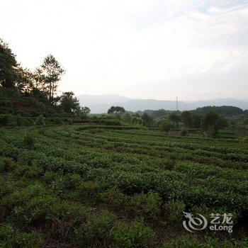 黟县茶夫园客栈酒店提供图片