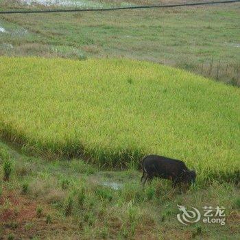 南雄银福酒楼酒店提供图片