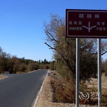 金塔县胡杨林客栈公寓酒店提供图片