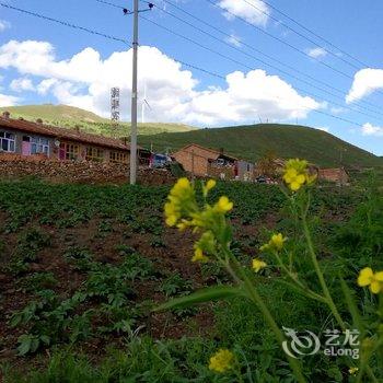 张北县纯味农家院酒店提供图片