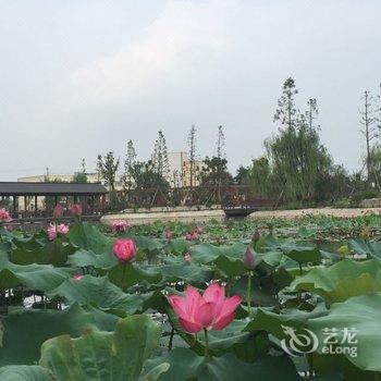 晨虹花园酒店(南京禄口机场店)酒店提供图片