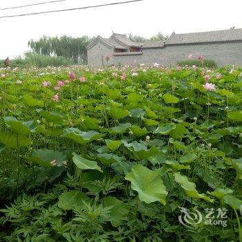 安新上岛度假村酒店提供图片