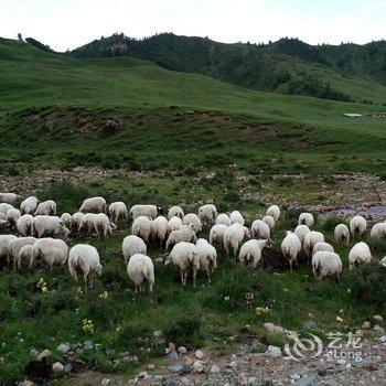 祁连家庭青年旅馆酒店提供图片