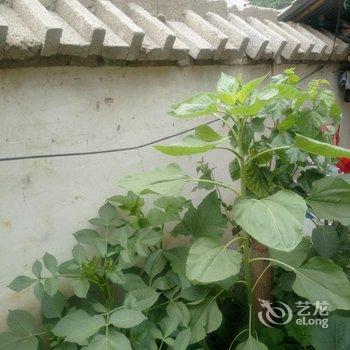 天水麦积山恒源顺农家小院酒店提供图片