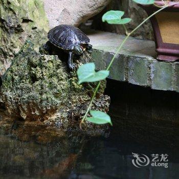 桐乡乌镇水墨闲庭民宿酒店提供图片