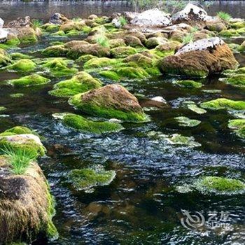 阿尔山市泉城家庭宾馆酒店提供图片