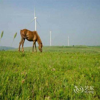 张北草原天路清逸山莊酒店提供图片