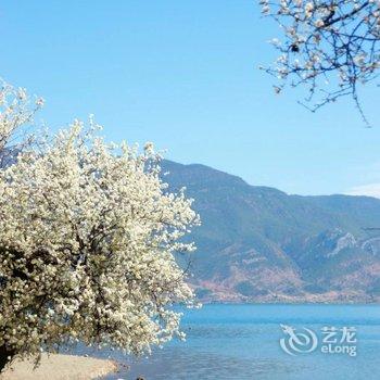 丽江泸沽湖清云湖客栈酒店提供图片