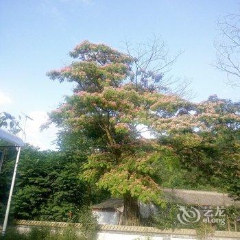 天水麦积山恒源顺农家小院酒店提供图片