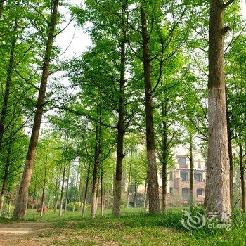 青岛海视界度假公寓酒店提供图片