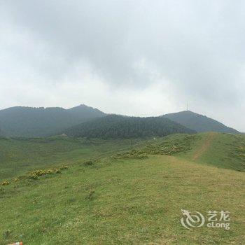 甘南合作雪松青年旅舍酒店提供图片