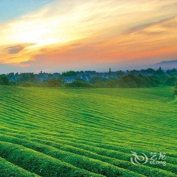 宣城上海滩国际大酒店酒店提供图片