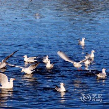 丽江泸沽湖清云湖客栈酒店提供图片