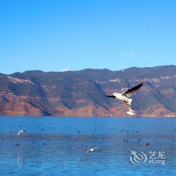 丽江泸沽湖清云湖客栈酒店提供图片