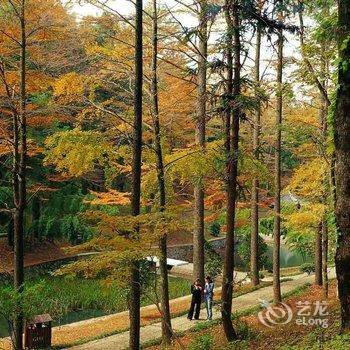 奉化商量岗旅游度假村酒店提供图片