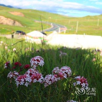 祁连绿逸草原生态驿站酒店提供图片