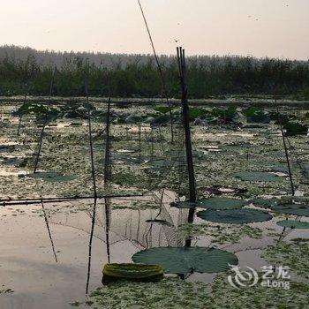 白洋淀雁翎度假村酒店提供图片