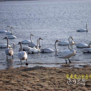 荣成宏鑫旅馆(威海荣成天鹅湖店)酒店提供图片