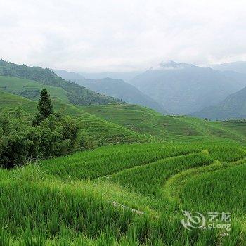 龙脊梯田阿蒙家酒店提供图片