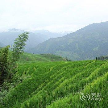 龙脊梯田阿蒙家酒店提供图片