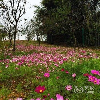 清远佛冈鹤鸣洲樱花温泉度假村酒店提供图片