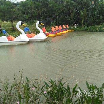 清远佛冈鹤鸣洲樱花温泉度假村酒店提供图片