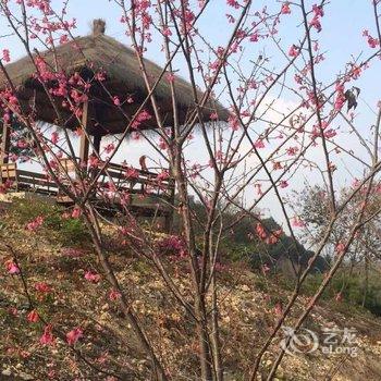 清远佛冈鹤鸣洲樱花温泉度假村酒店提供图片