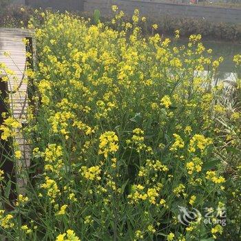 清远佛冈鹤鸣洲樱花温泉度假村酒店提供图片