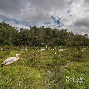 普洱开元·小熊猫庄园酒店酒店提供图片