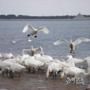 荣成宏鑫旅馆(威海荣成天鹅湖店)酒店提供图片