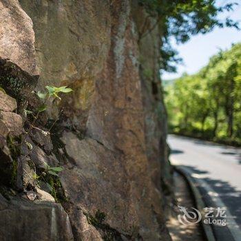 莫干山溪上乡村度假酒店酒店提供图片