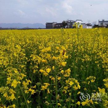 黄山黟县碧山碧云古村客栈酒店提供图片