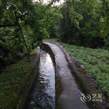 临安柘林源民宿许家11号酒店提供图片