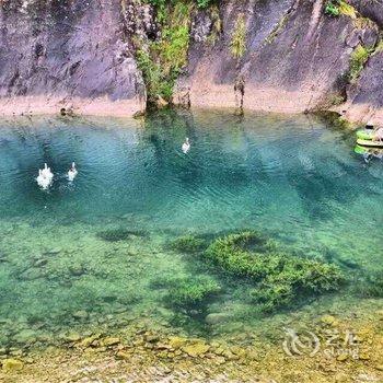 永嘉森林梦民宿酒店提供图片