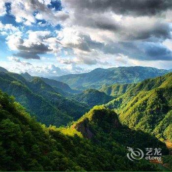 永嘉森林梦民宿酒店提供图片