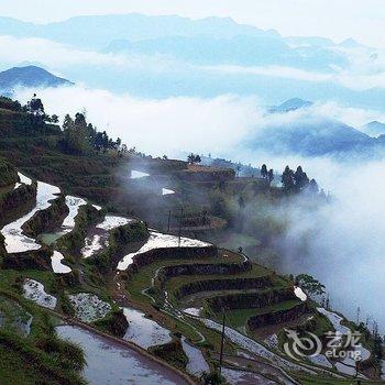 永嘉茗岙田中田摄影旅舍酒店提供图片